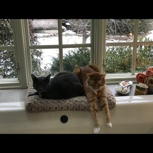 Meet your Posher, Michelle